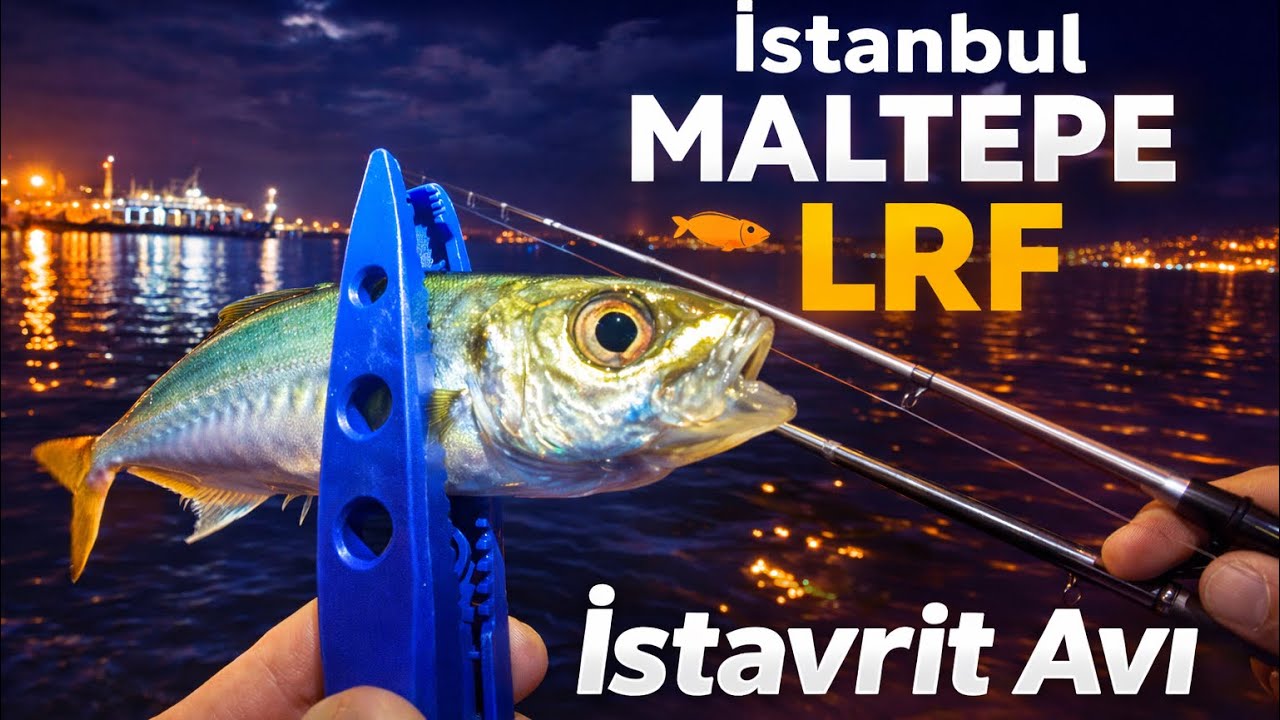 İSTANBUL/MALTEPE LRF AVI|LRF SİSTEMİ İLE İSTAVRİT AVI|KOKULU SİLİKON BALIK YOKKEN BİLE İŞ YAPAR!