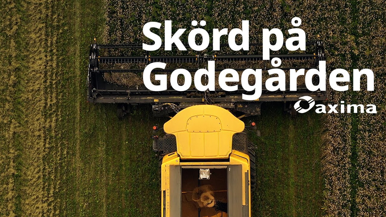 Skörd på Godegården | Ekologiskt, New Holland CR 8.90 och Honeybee skärbord