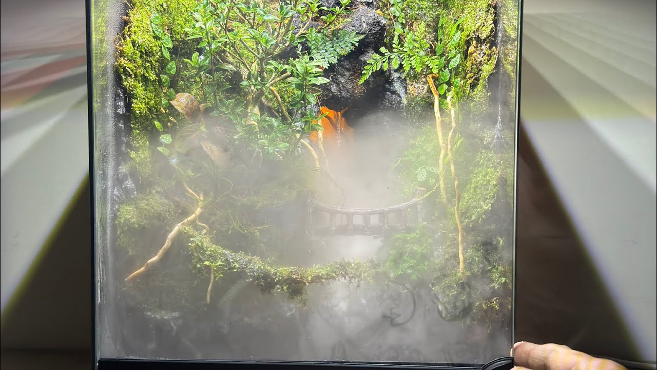 The making of River Stream Paludarium | Mist | Waterfall |