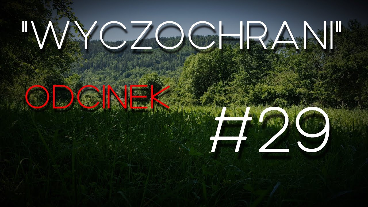Odcinek #29 