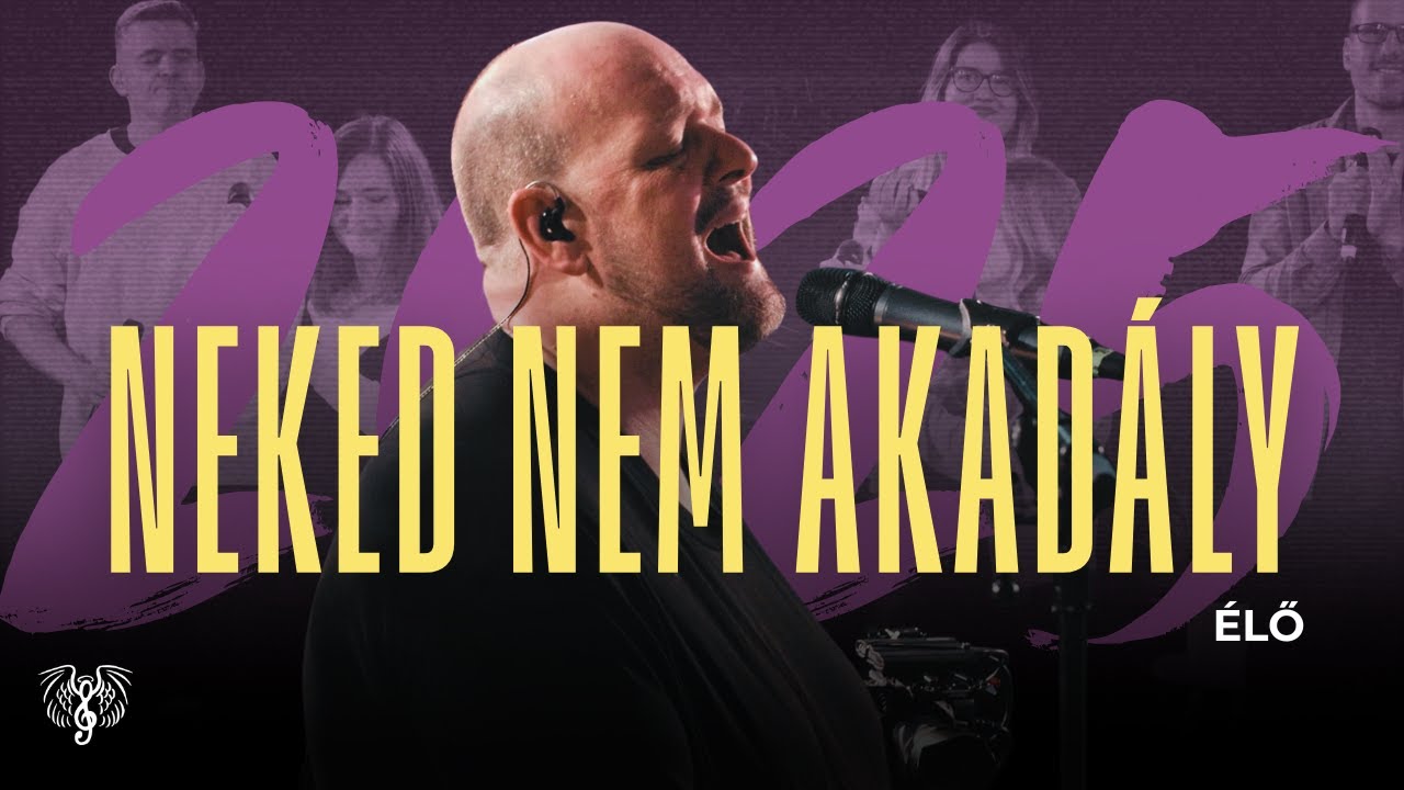 Dics-Suli 2025 - Neked Nem Akad&aacute;ly | &Eacute;LŐ