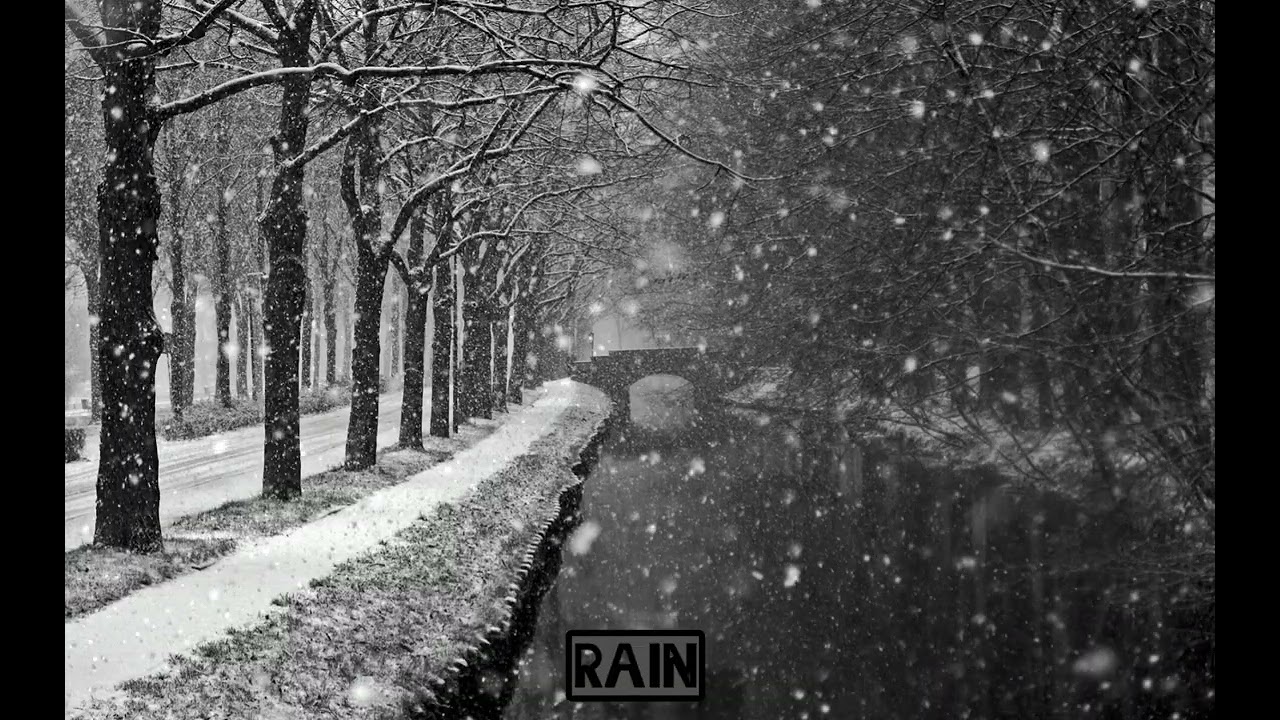 Lonely Night City 🌆– Emotional Chill Music with Soothing Female Vocals
