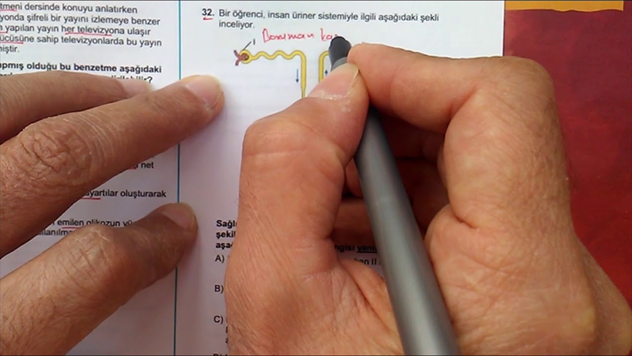 2020 AYT BİYOLOJİ  ÇÖZÜMLER