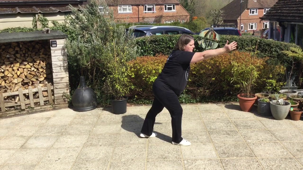 Inner Balance Tai Chi 108 Move Set Class view