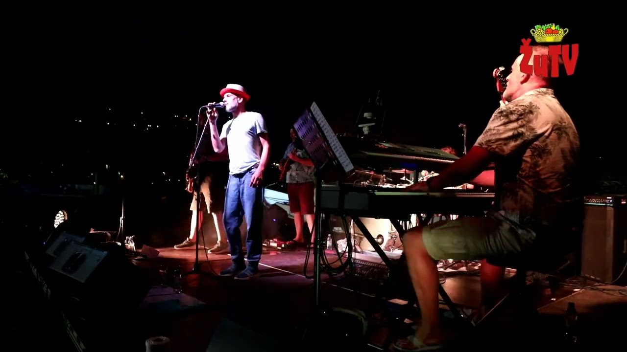 Dino Dvornik official tribute band  na Festi Sv. Roka u Mlinima