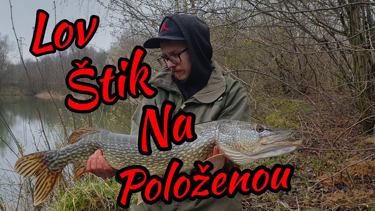 Lov Štik Na Položenou !