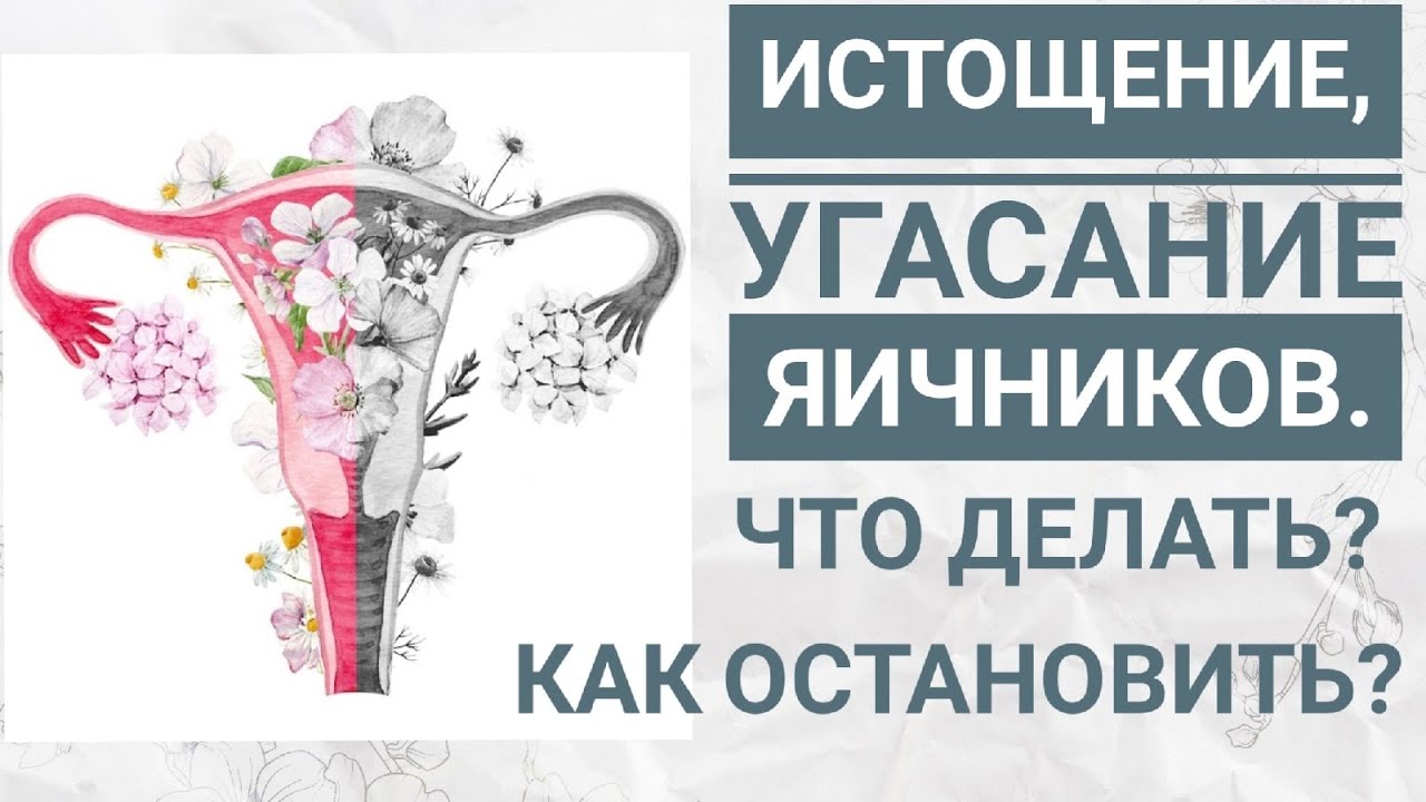 Преждевременное угасание или истощение яичников. Что делать? Как восстановить яичники?