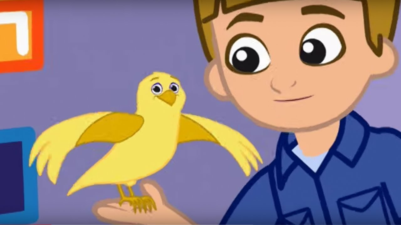 The Doodlebops Rockin' Road Show - Song Bird // Message Mess-Up | Kids Musical Cartoon Show