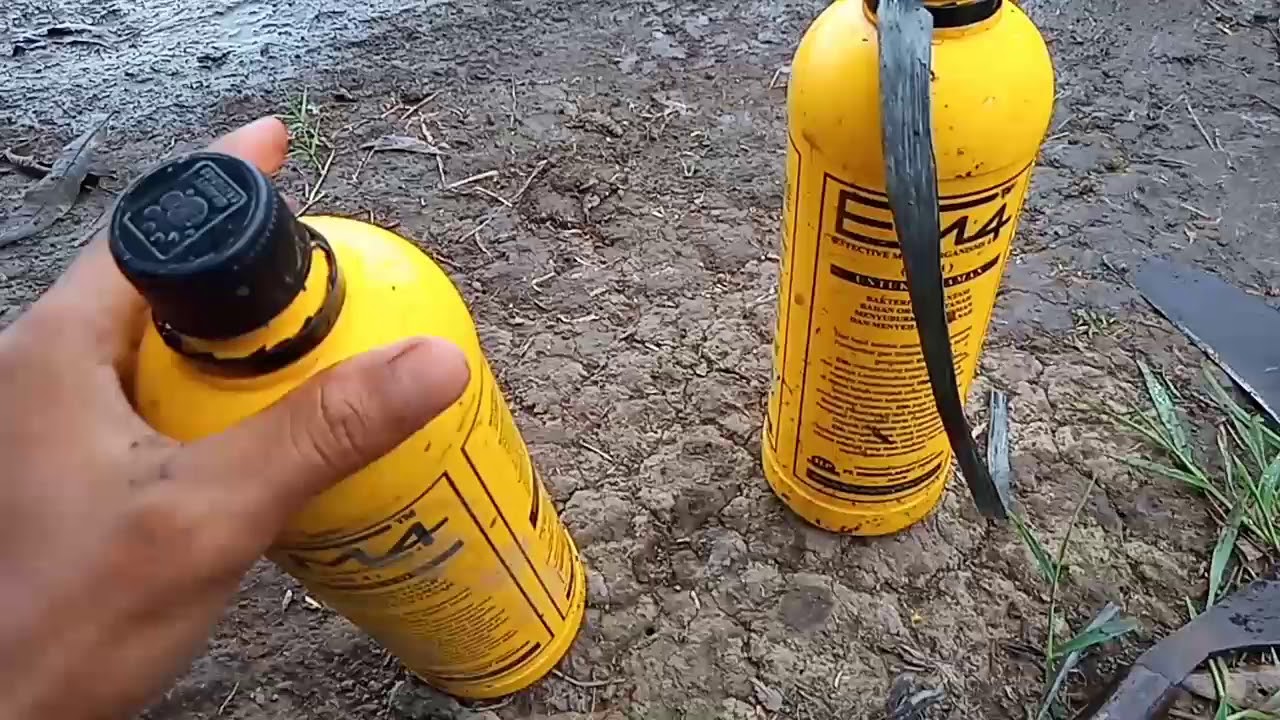 Cara Mudah Mengaplikasikan EM4 Pada lahan sawah - Petani Padi