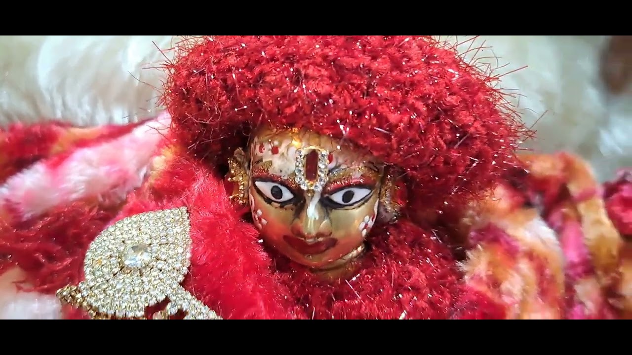 मंगलवार व्यतिपात योग में राधासच्चिदानंद ठाकुर जी के सुंदर दर्शन मनोकामना पूर्ण करने वाले ठाकुर जी। 