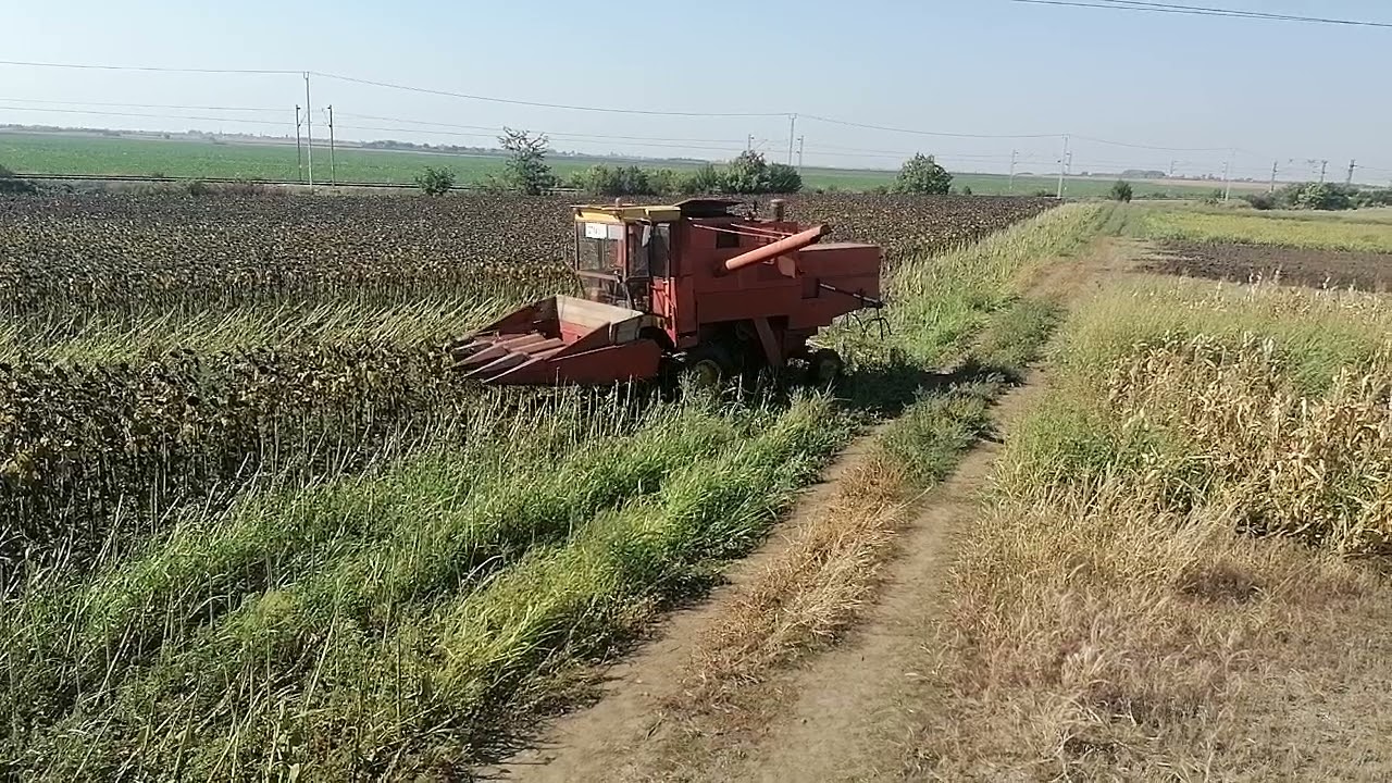 zmaj 142 /žetva suncokreta 2021/mile šoferira