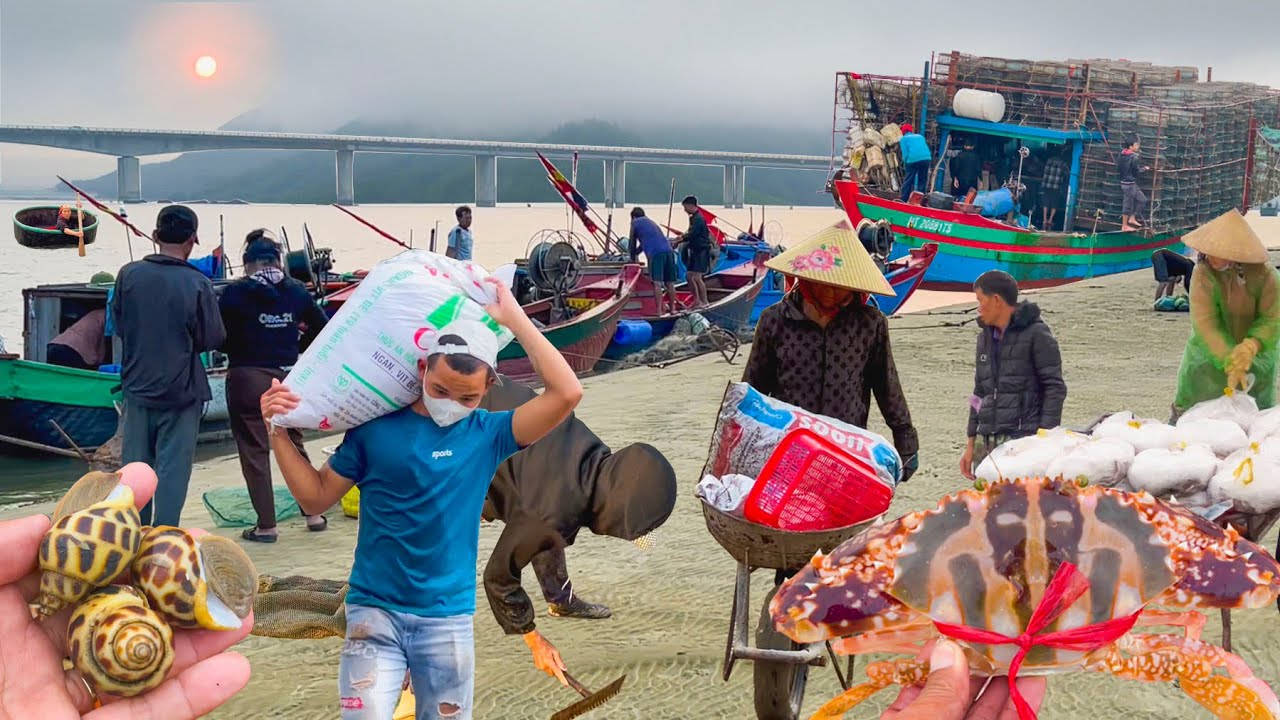 Biển Cửa Nhượng Hà Tĩnh Vào Mùa Ghẹ Và Ốc Hương║Tìm Con Ốc Quén Dưới Chân Cầu