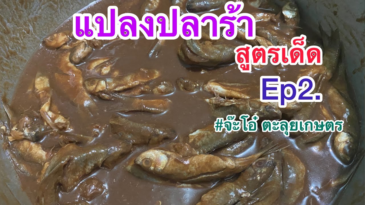 วิธีทำปลาร้าสูตรเด็ดหอมนัว |แปลงปลาร้าพร้อมกินเร็วใน2เดือนและเก็บไว้กินได้ตลอดปี