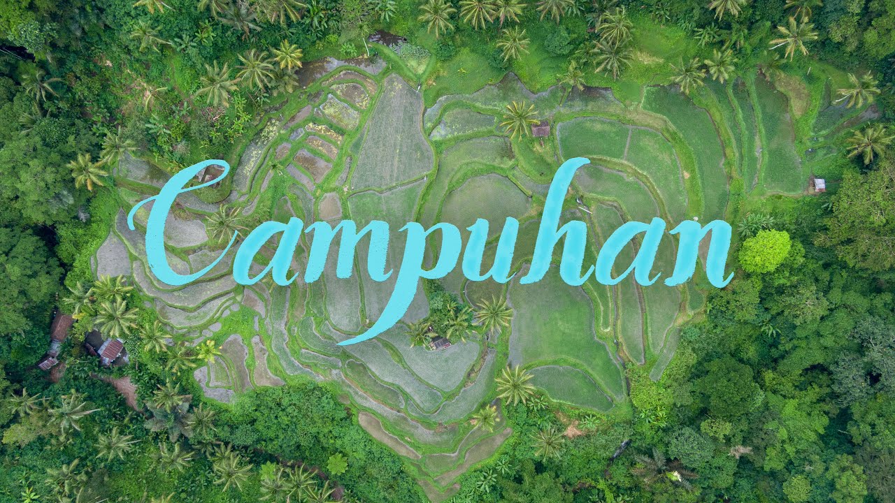 Sacred Campuhan River: Power Vortex Ubud, Bali