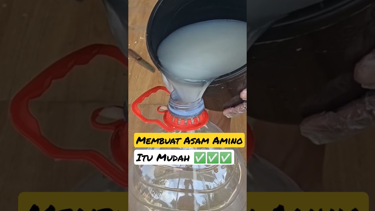 Membuat Asam Amino itu Mudah ✅✅✅