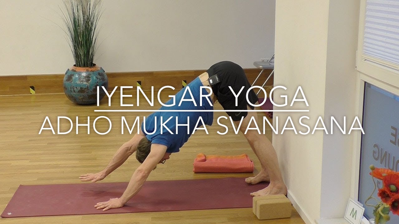 Iyengar Yoga: Adho Mukha Svanasana
