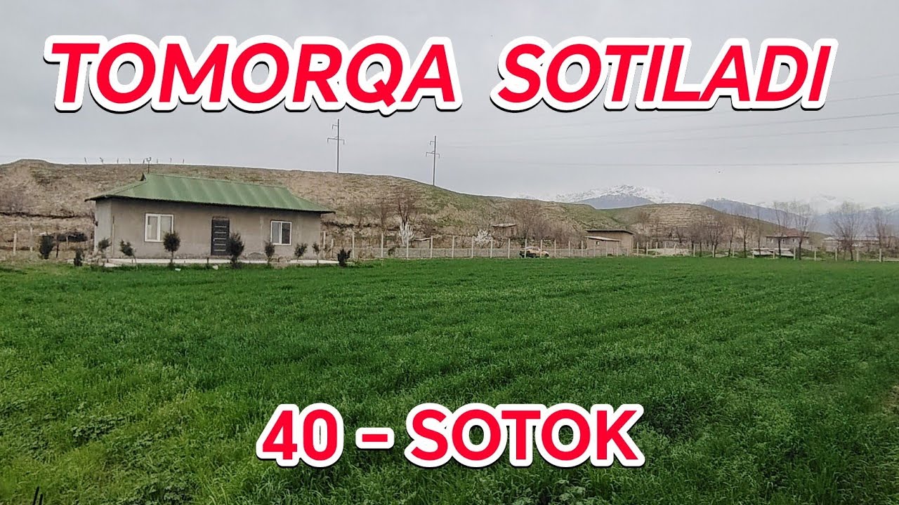 TOMORQA SOTILADI 40-SOTOK 2-XO'JALIG UY QURIB YASHASA BO'LADI // SURXONDARYO VILOYATI SARIOSIYO