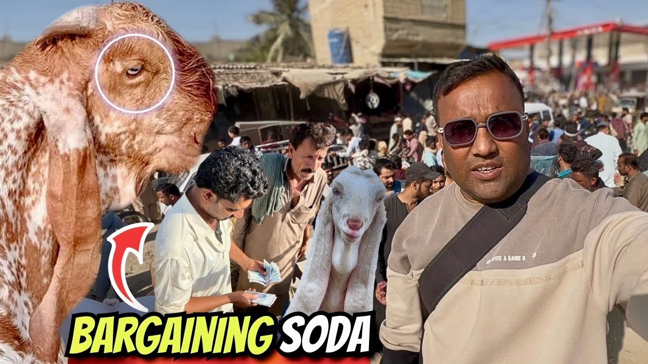 Orangi Town Bakra Mandi PHAT Gayi! 😱🐐 | 2026 Latest Rates | Full Bargaining Soday Hi Soday 💸🔥