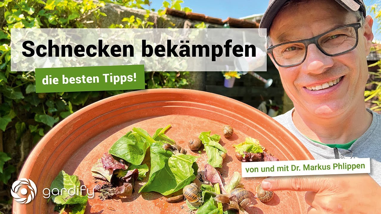 Die besten Tipps gegen Schnecken + Praxistest | gardify Tipps