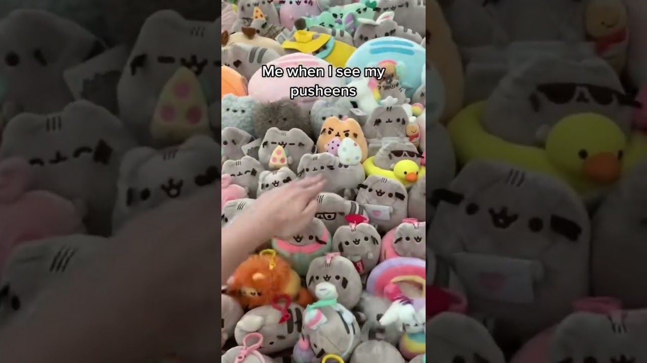 Yeah #pusheen #plush #plushies #kawaii #cute #cat #kitty #squish #squishmallows #collection