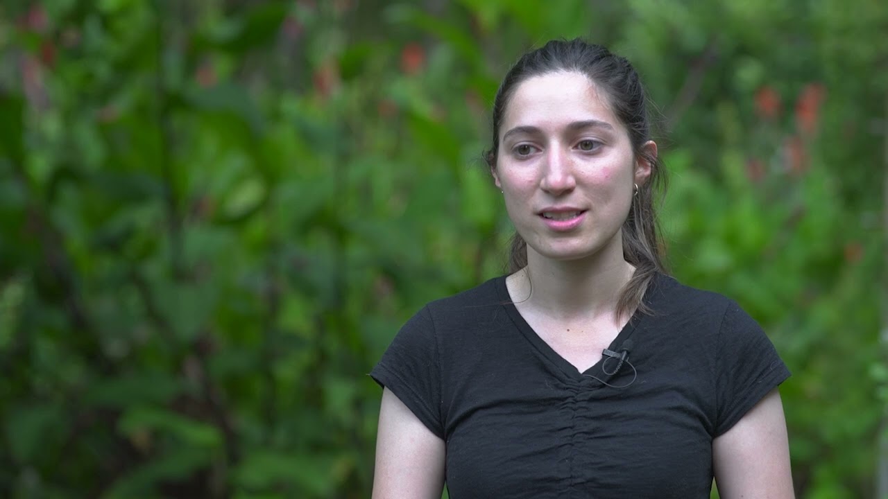 La Red de Huertas Comunitarias del Uruguay nos muestra la importancia de la agricultura urbana.