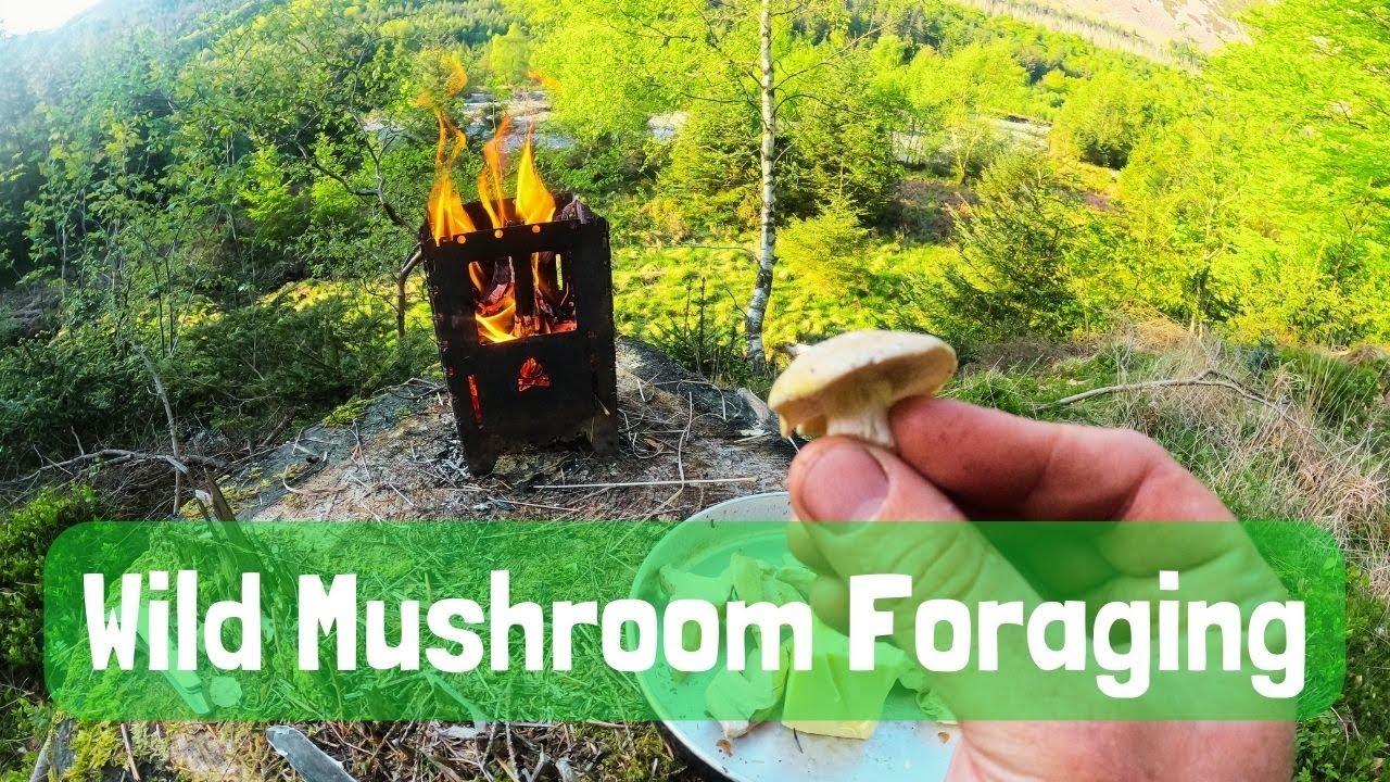 Barefoot Foraging For Wild Mushrooms - St. George's Mushroom, Spruce Tips, Firelighting and Cooking