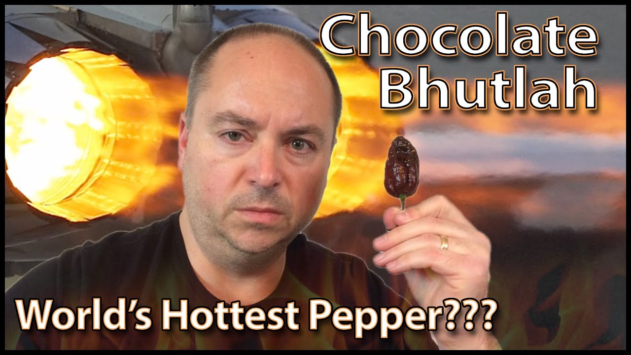 Папа ест шоколадный Bhutlah: конкурс на самый острый перец в мире, Crude Brothers