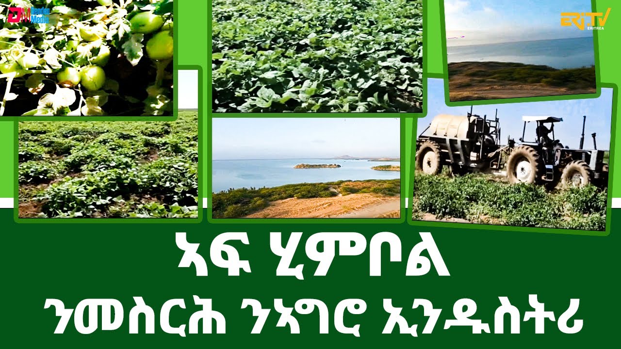 መኣዝን ልምዓት፡ ኣፍ ሂምቦል - ንመስርሕ ንኣግሮ ኢንዱስትሪ | Agricultural developments in the area of Af Himbol - ERi-TV