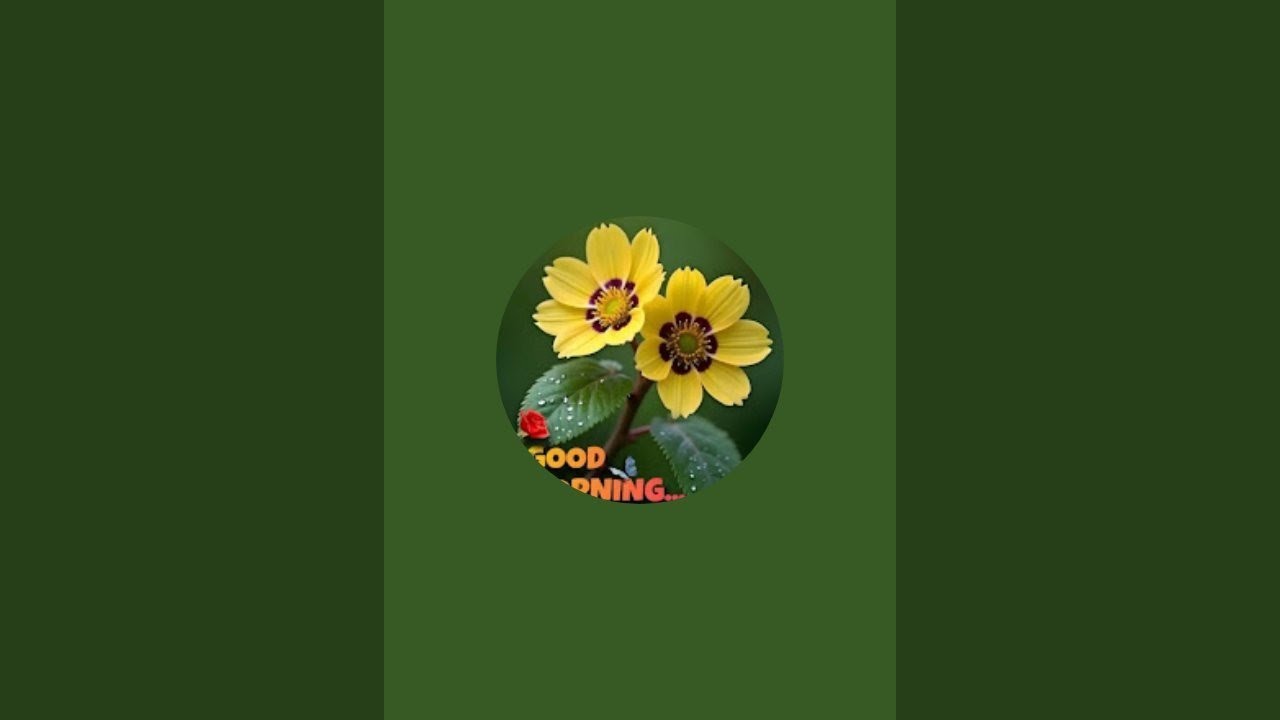 Risheekant Thakur  is live