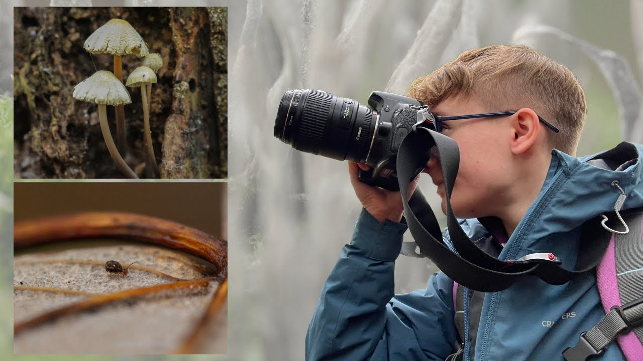Macro Forest Photography | I found a springtail!!! | Wildlife photography Vlog