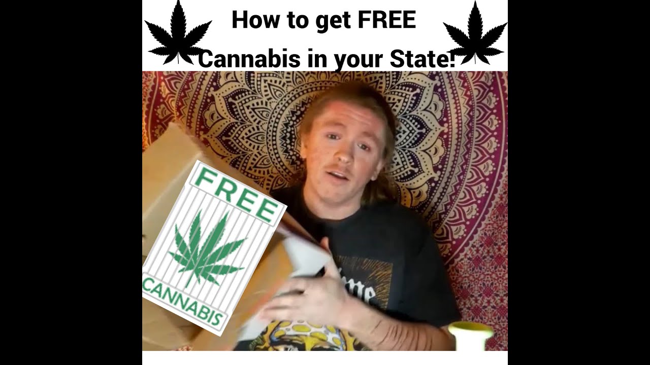 How to get FREE CANNABIS!!! 
