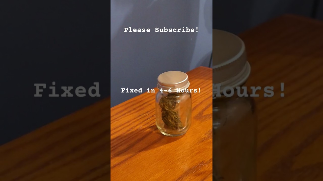 Fix Dry Nugs Fast / Simple & Free Cannabis Flower / Repair & Maintain Your Home Grow