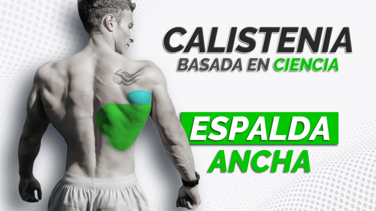 Los 3 Mejores EJERCICIOS para DORSALES en CALISTENIA | Basado en Ciencia