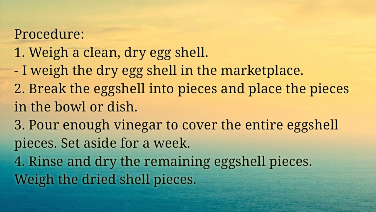 Activity 3- Analysis of Eggshell