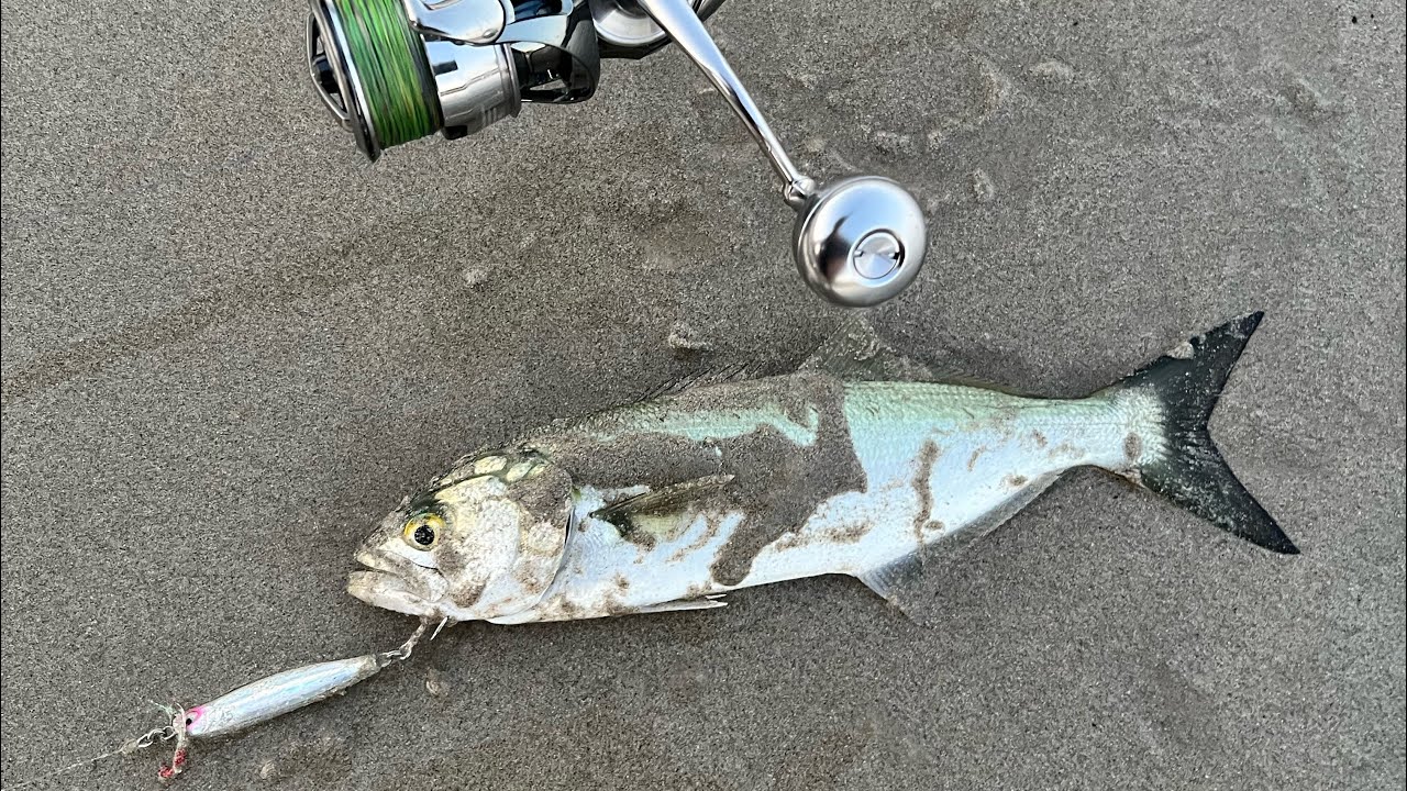 Catch fish after fish with this lure | fishing Jervis Bay | Shore Jigging