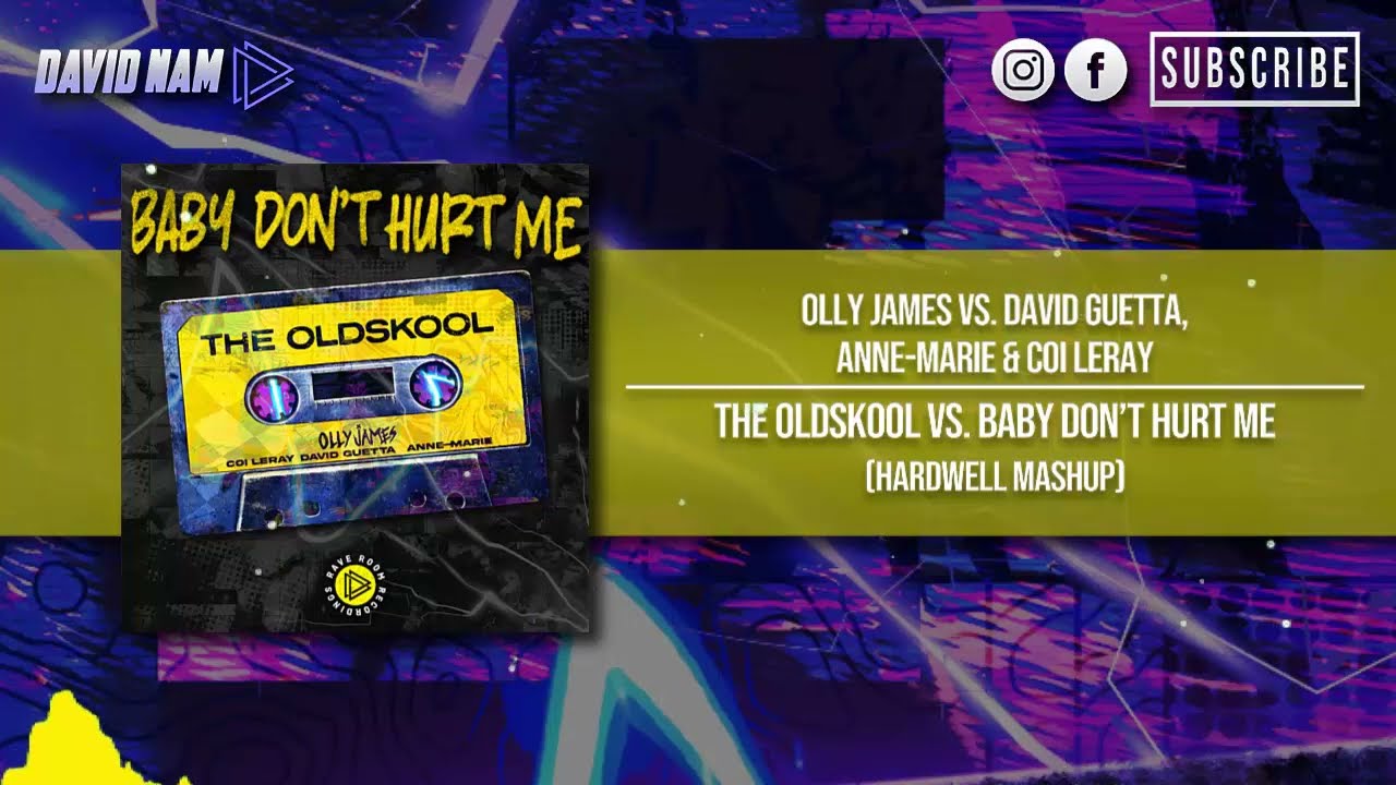 The Oldskool vs. Baby Don't Hurt Me (Hardwell Mashup) [David Nam Remake]