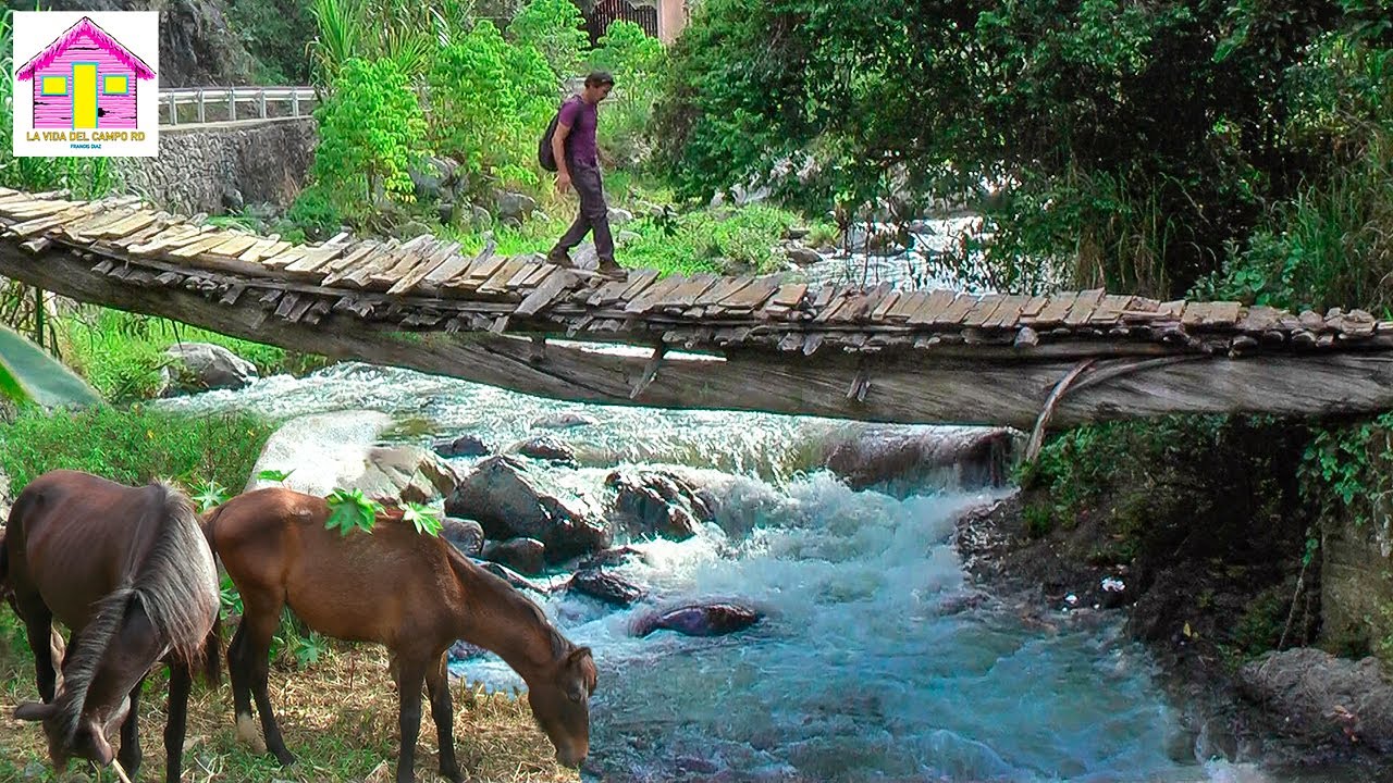 CAMINO A LA CIÉNAGA MANABAO LA VIDA DEL CAMPO