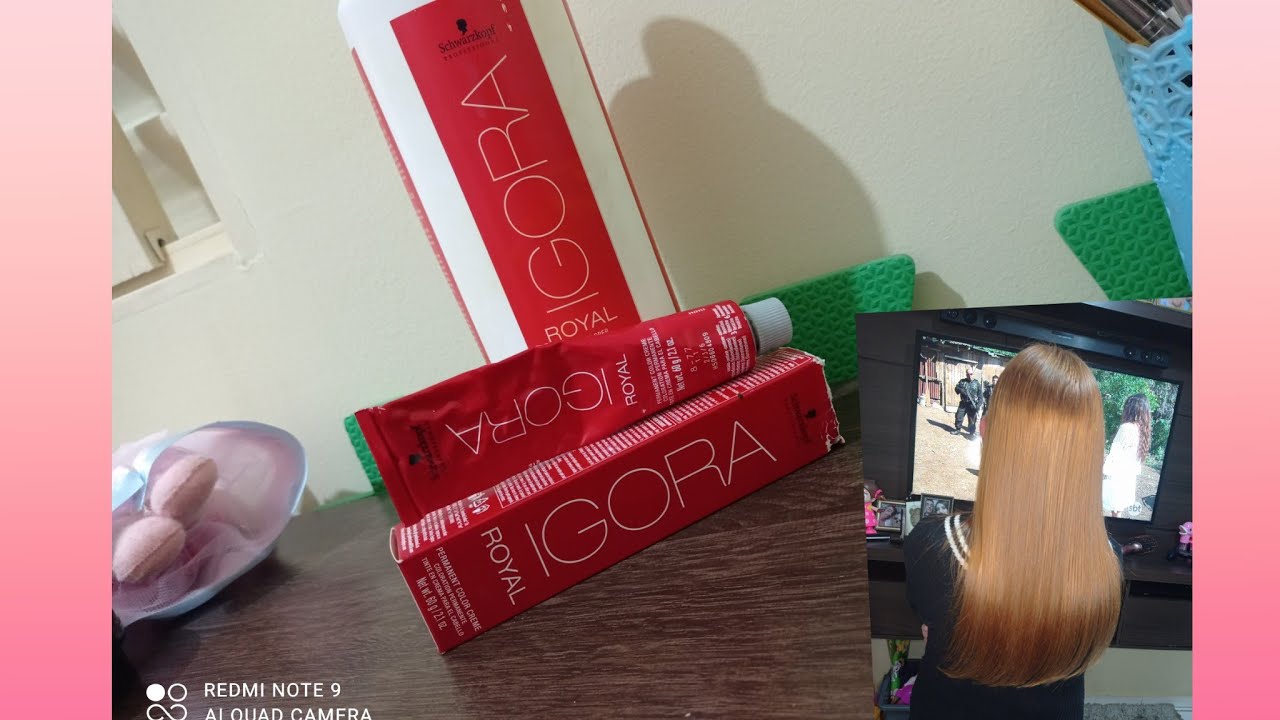 IGORA 8.77 e 9.7