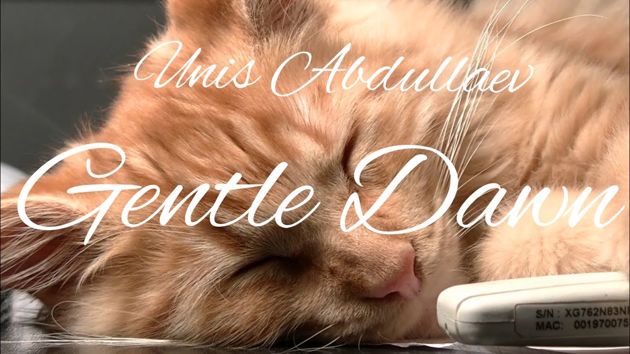 Нежная музыка для сна Unis Abdullaev  - Gentle Dawn