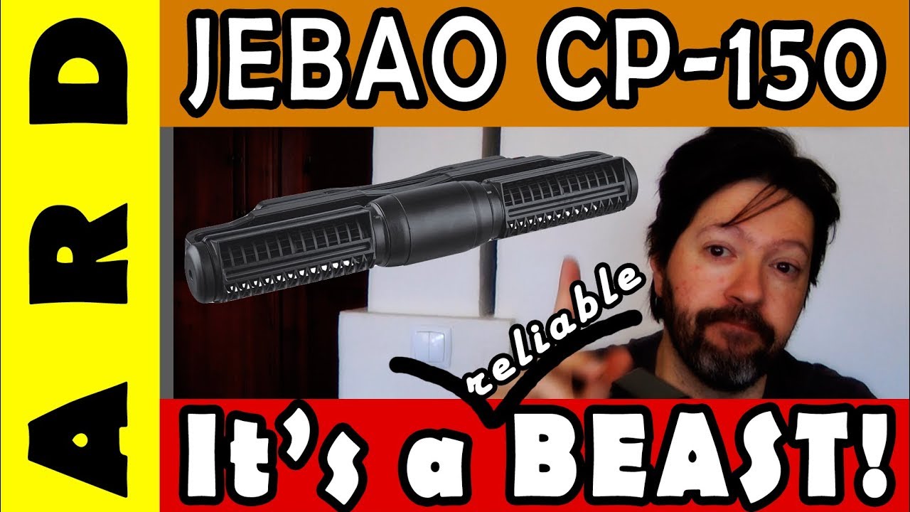 Jebao CP-150 - 1 Year review