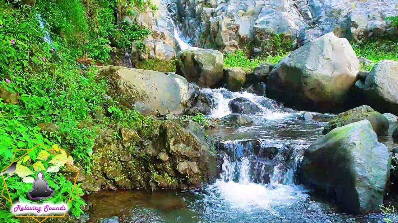 Relaxing Sounds Harmony - Water Sound Ambience and Calm Music for Deep Sleep, Stress Release Therapy