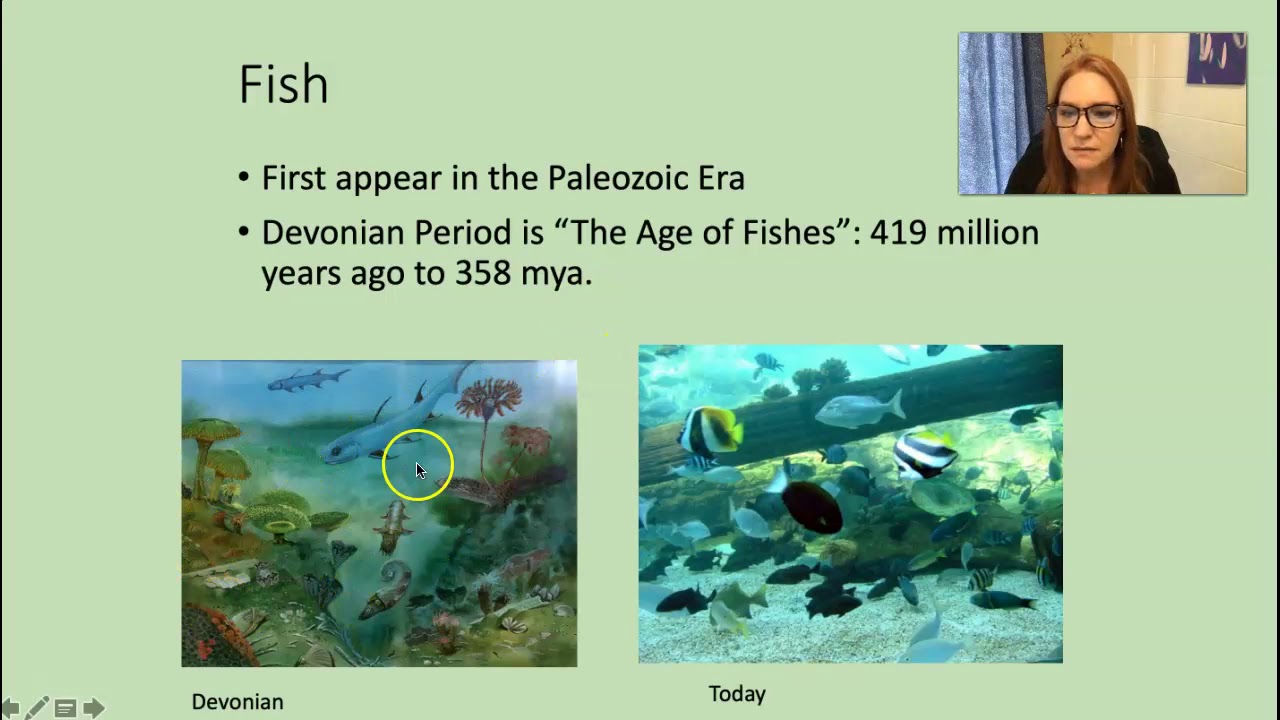Fishes!!!! (Zoology)
