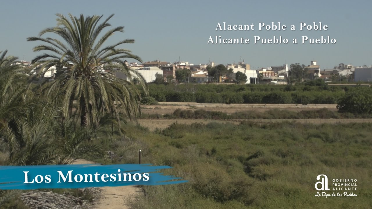 LOS MONTESINOS. Alicante pueblo a pueblo