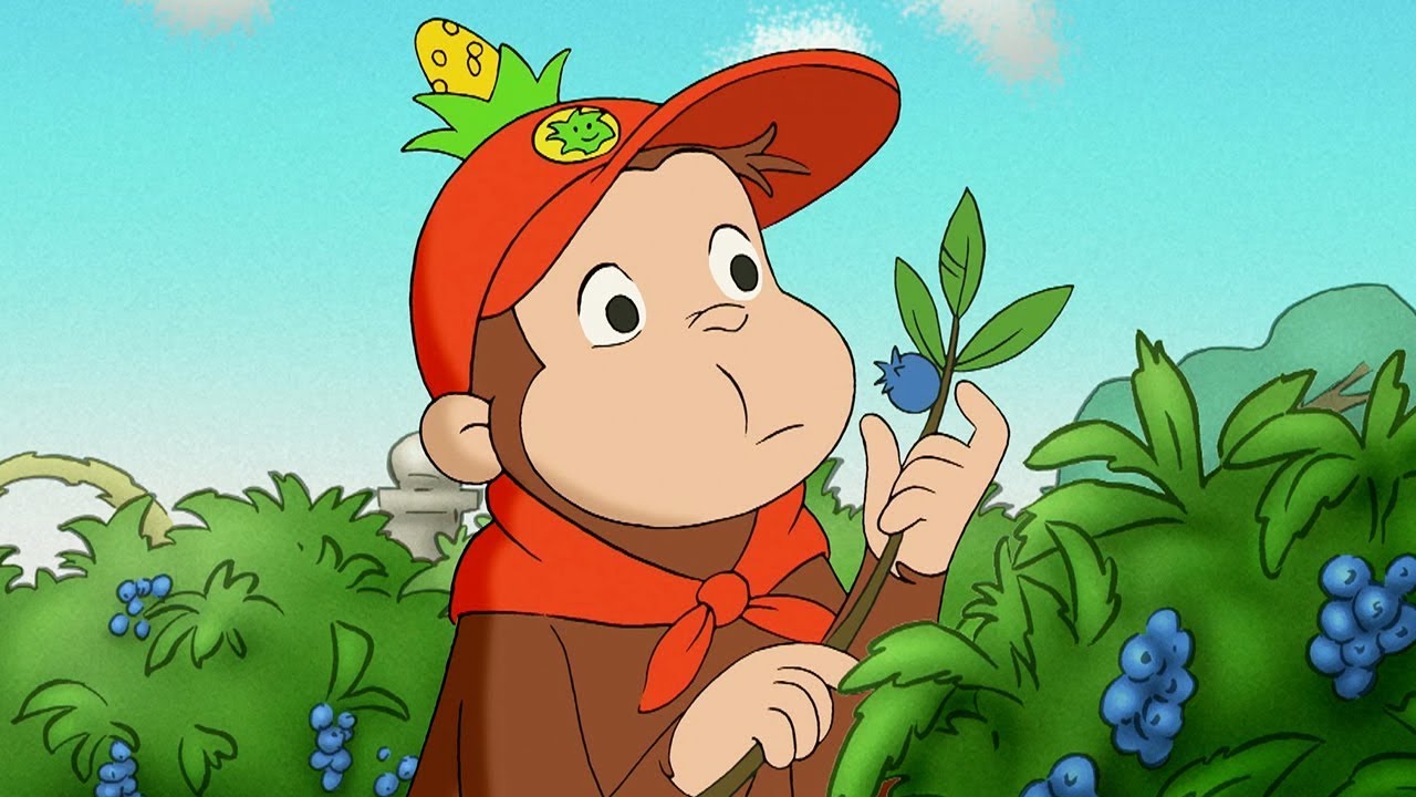 Nicke Nyfiken 🐵 Nickes Första Scoututflykt 🐵 Tecknad Film för Barn 🐵 Helt Avsnitt