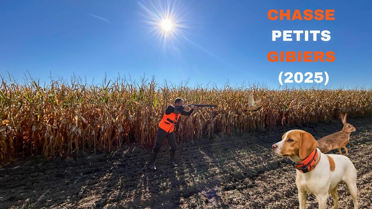 2ème Dimanche De Chasse Aux Petits Gibiers #chasseurs