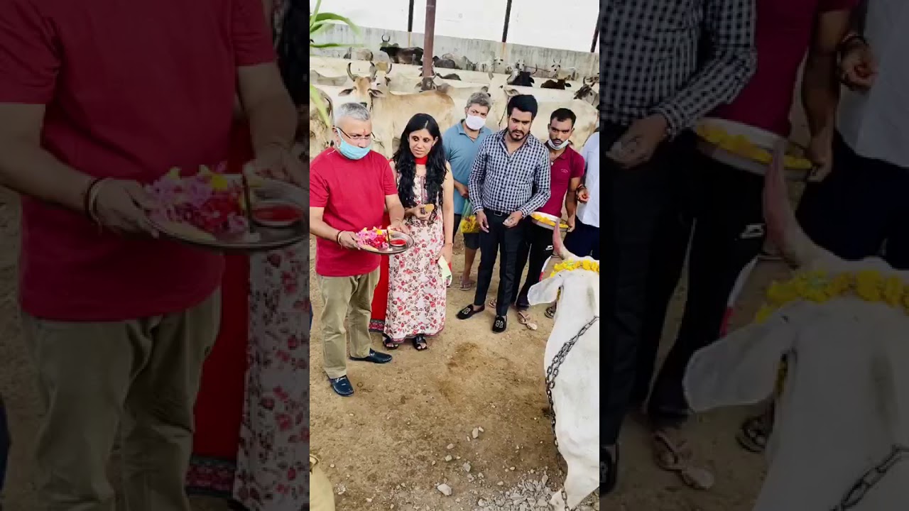 Ips Rahul Kotoki , Gau Mata ki Seva