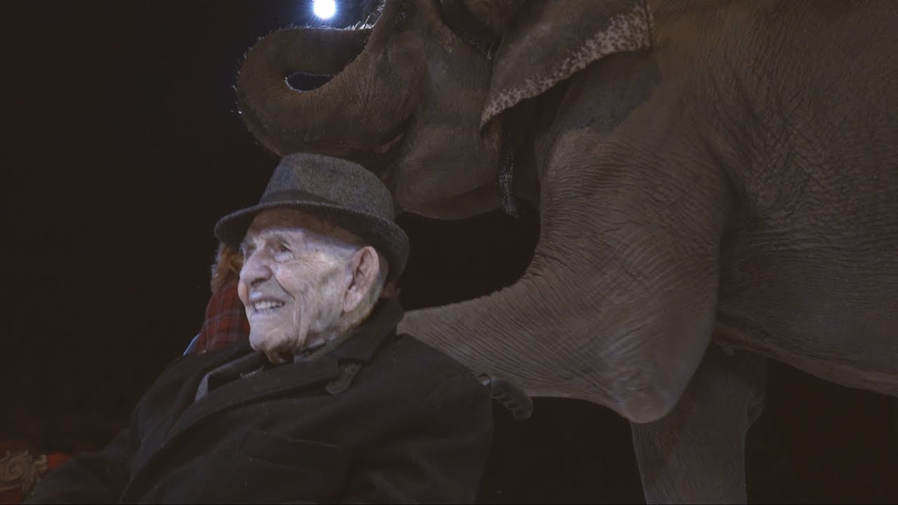 EL ÚLTIMO GRAN DOMADOR