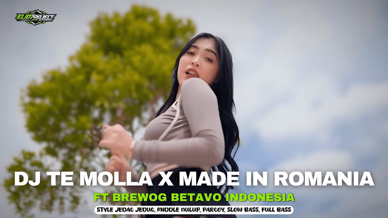 DJ TE MOLLA X MADE IN ROMANIA - FT BREWOG BETAVO INDONESIA YALI YALI STYLE PARTY | ELIO PROJECT