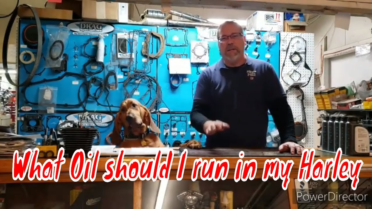 What oil should I run in my Harley