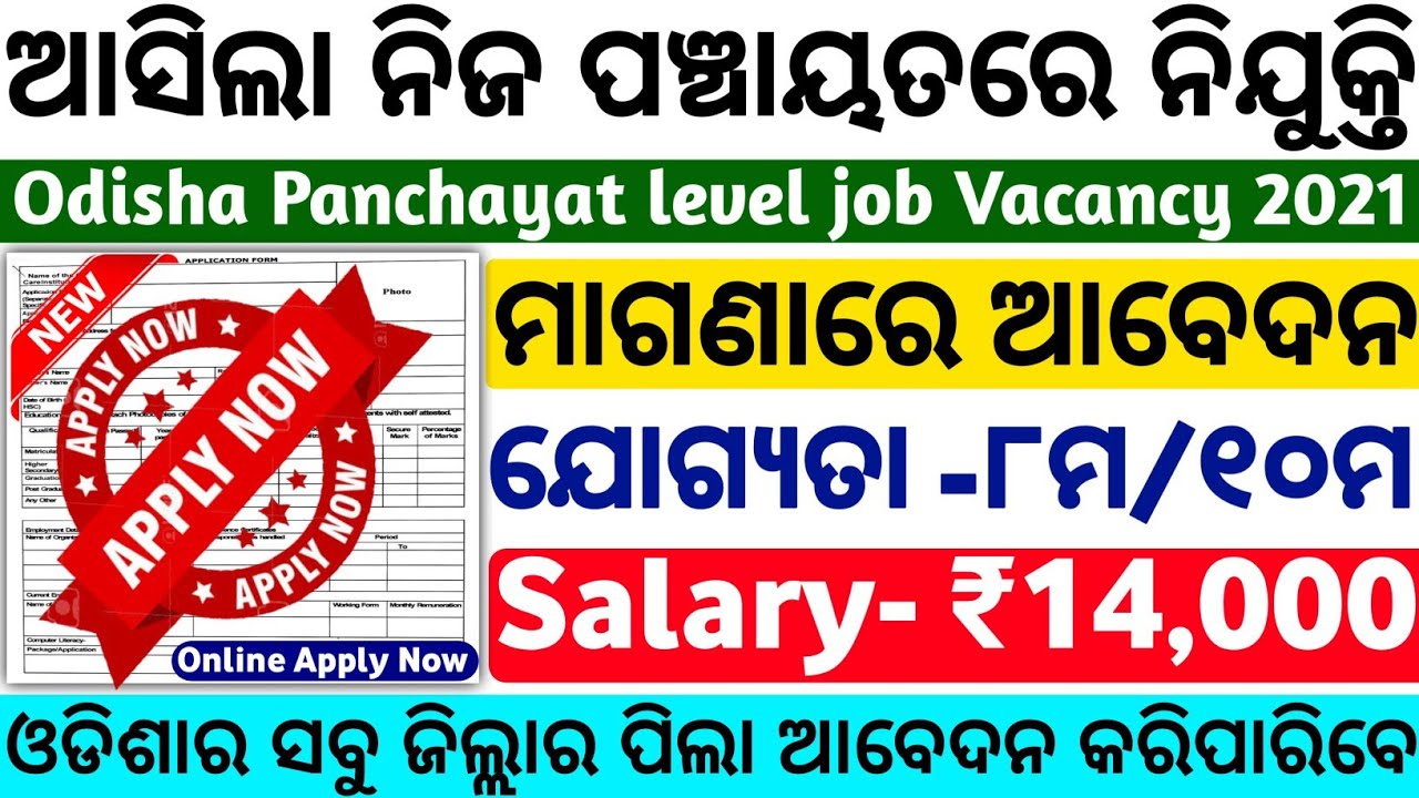 Odisha panchayat level jobs 2021//Village level jobs//odisha govt jobs 2021//Odisha job updates 2021